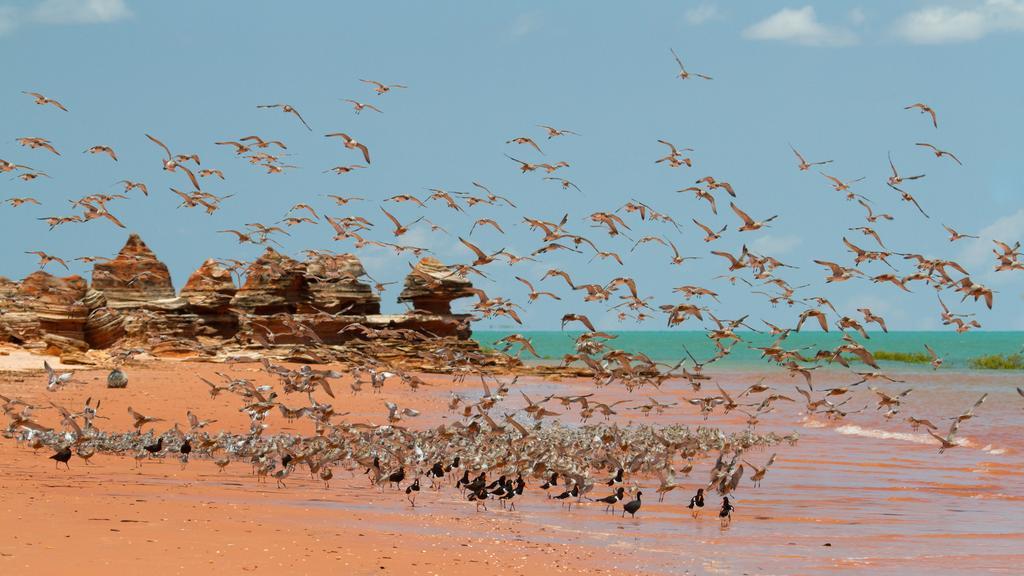 Broome Bird Observatory Exterior photo